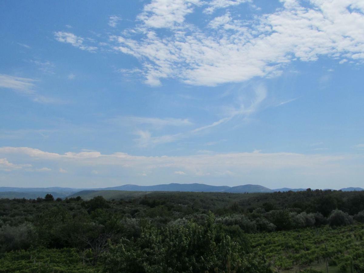 Guest Accommodation Grozdanic Dubravice Bagian luar foto
